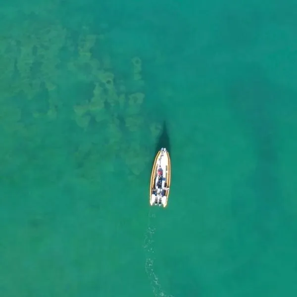 Hotel y Casino Del Río - Las Grutas，位于拉斯格路塔斯的酒店