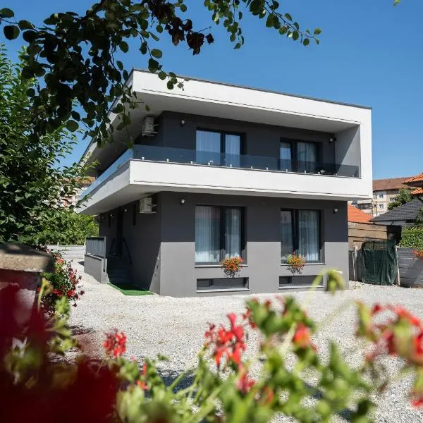 Novum Stay - Pensiune Centrala in Hunedoara，位于胡内多阿拉的酒店