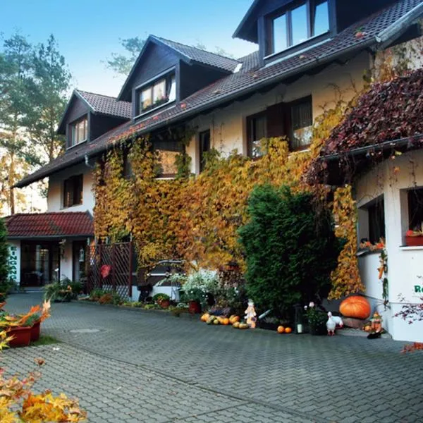 Ferien Hotel Cottbus，位于阔克威兹的酒店
