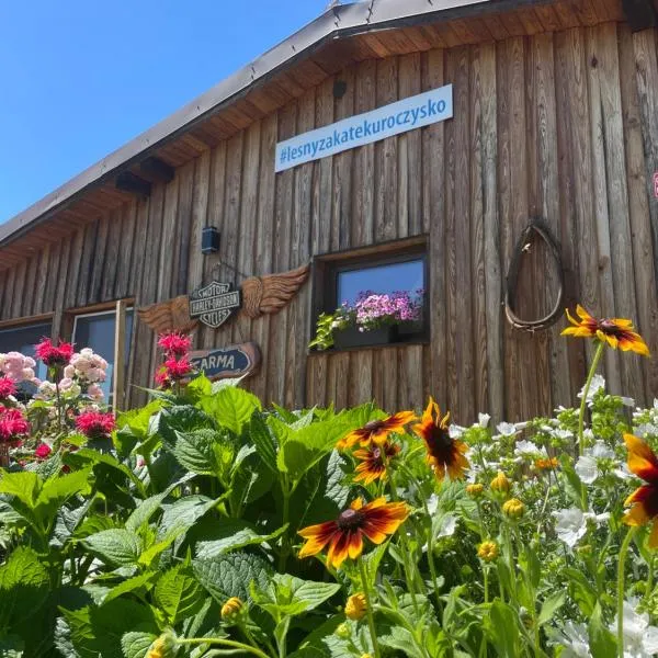 Leśny Zakątek Uroczysko -Apartamenty Nowoczesnej Stodoły，位于Stogniewice的酒店