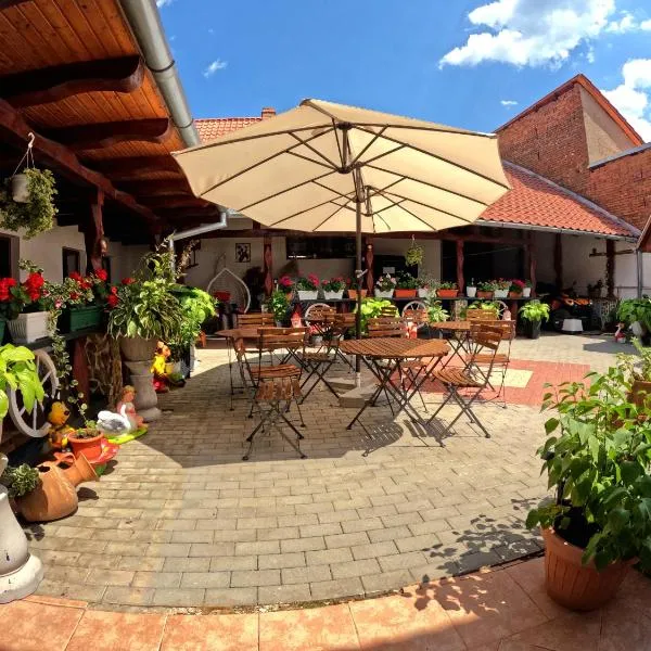 Mehadica House，位于Mehadica的酒店