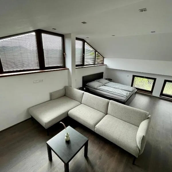 Apartment With a View，位于Králŭv Dvŭr的酒店