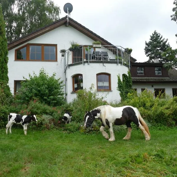 Bushof - Leben auf dem Land，位于Sulzbach an der Murr的酒店