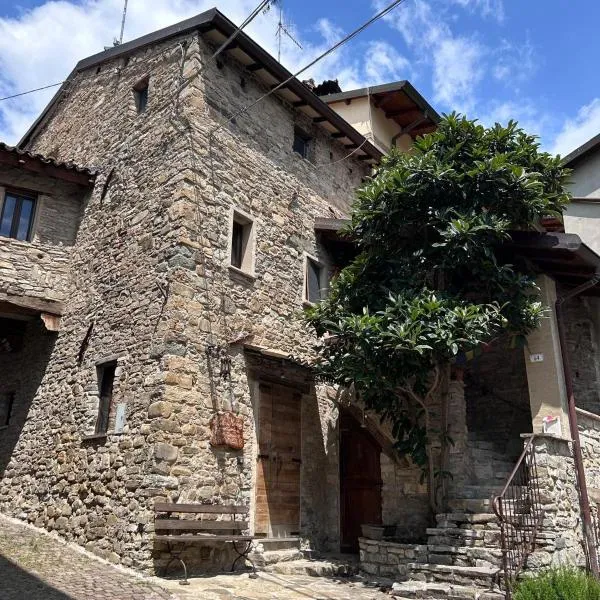 Il nido di Matilde，位于Rossena的酒店