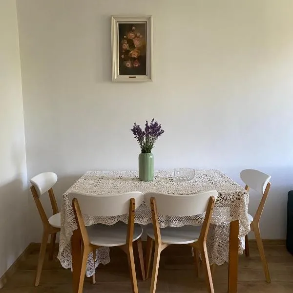 Peowiaków Guest Apartment，位于扎莫希奇的酒店