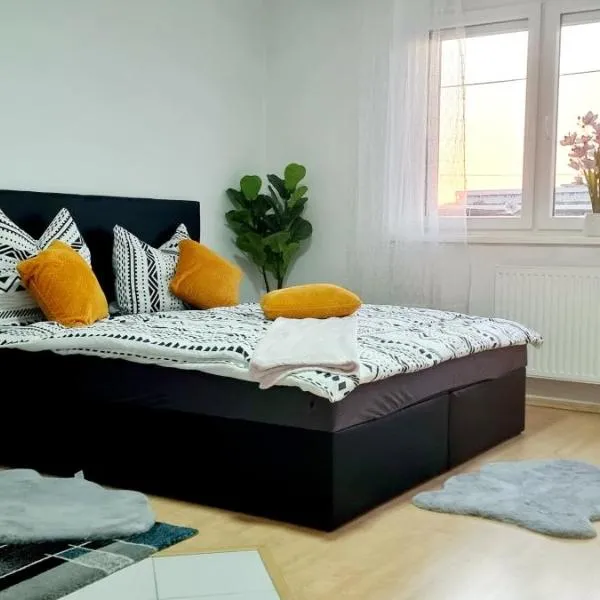 Central apartment in LINZ，位于林茨的酒店
