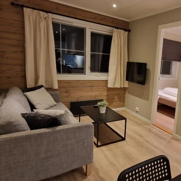 Newly renovated apartment Gautefall，位于Drangedal的酒店