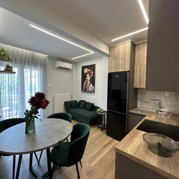 Xenia luxury apartment，位于卡泰里尼的酒店