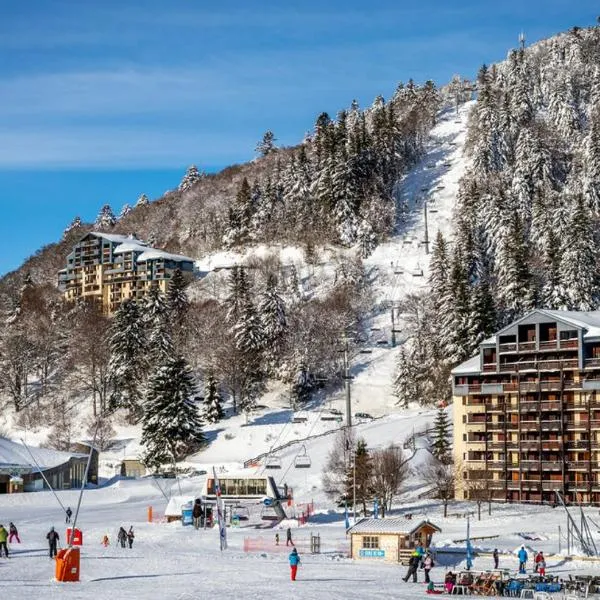 Superbe Appart aux pieds des pistes de ski avec balcon-parking et casier，位于拉维西尔的酒店