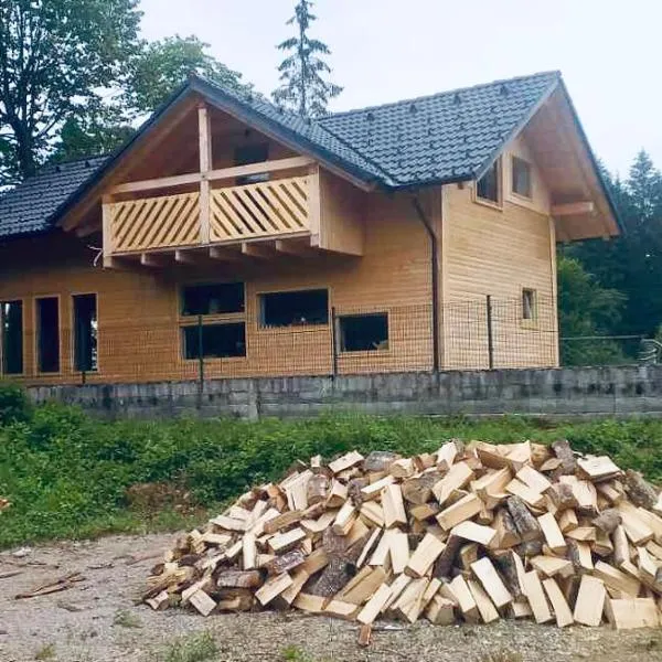 ABC Apartma Kočevsko，位于科切维的酒店
