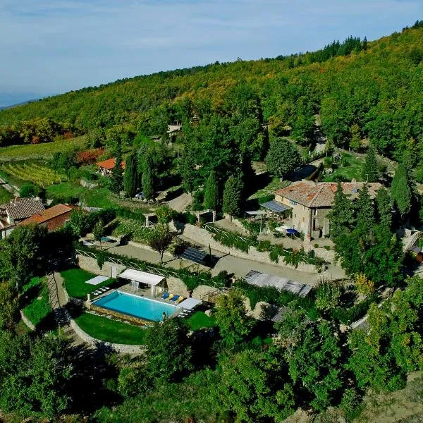 里弗吉姆酒店，位于基安蒂格雷夫的酒店