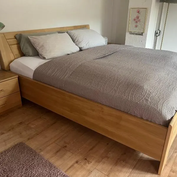 Waldblick Gästezimmer，位于索嫩比赫尔的酒店