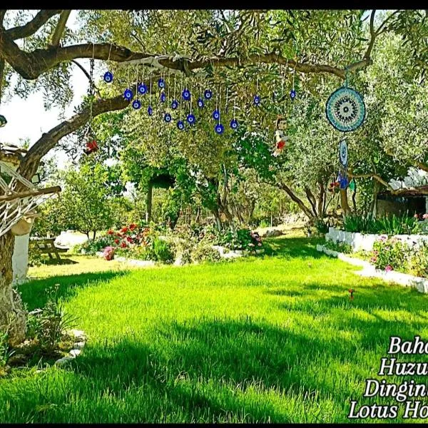 LOTUS House，位于Soke的酒店