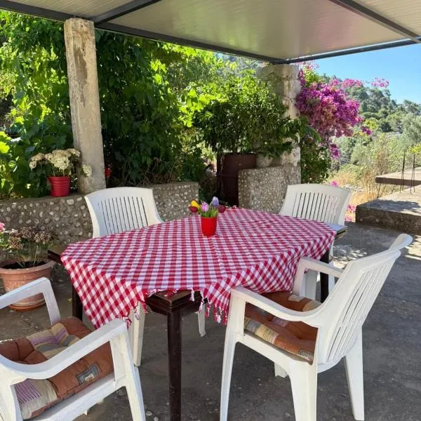 Apartman Desa Babino zlato，位于古维达里的酒店