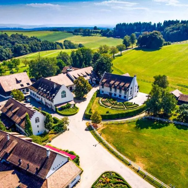 Hofgut Albführen，位于Dettighofen的酒店