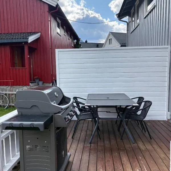 Sentrumsnært hus，位于Rjukan的酒店