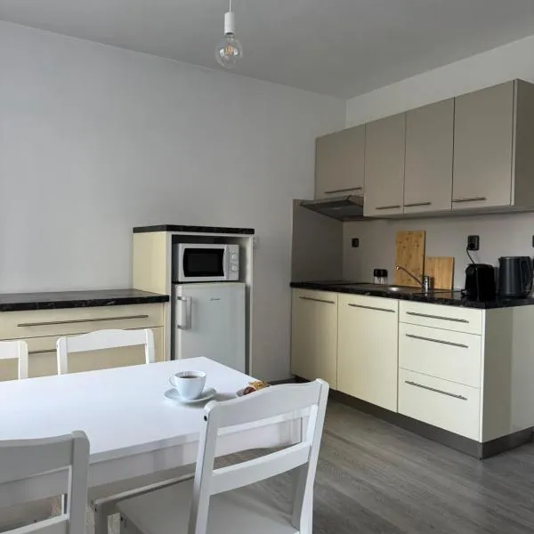 Apartmán v centru，位于特热邦的酒店