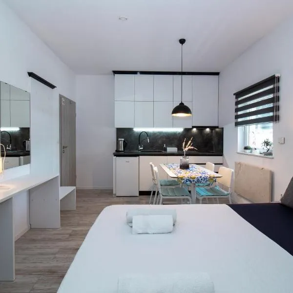 Studioapartment Black & White，位于大戈里察的酒店