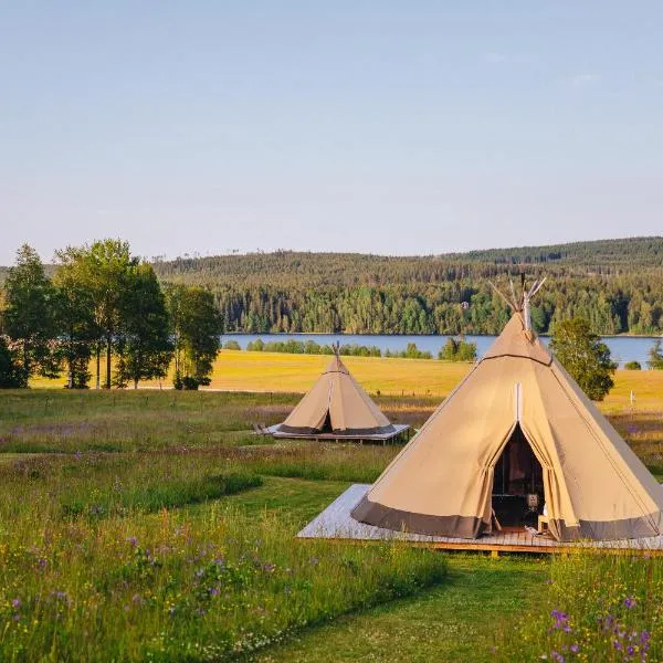 Förland Sunnemo，位于Sunnemo的酒店