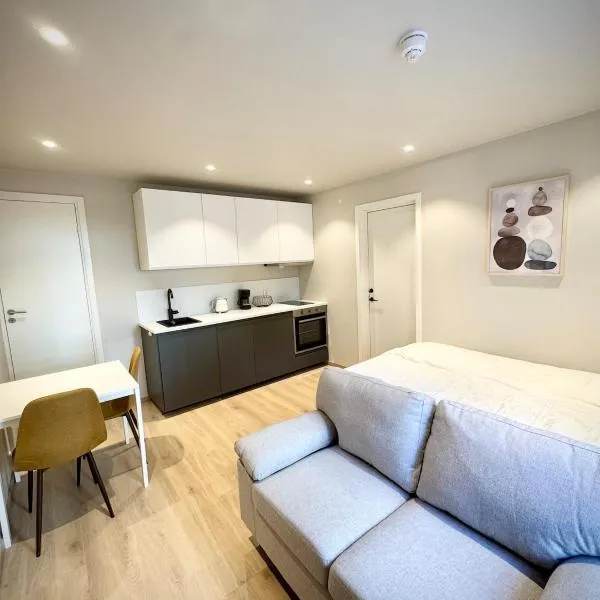 Bright & Cozy Studio - Central Location，位于奥斯陆的酒店