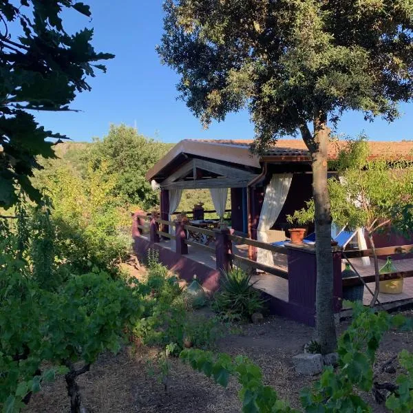 Villa Veronica，位于Sedini的酒店