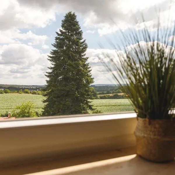 100 qm DG Wohnung 《Kehr wieder》Bexbach Saarland，位于Bexbach的酒店