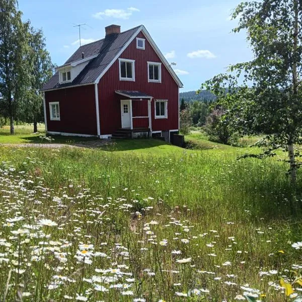 House in the middle of forests and lakes，位于Svartträsk的酒店