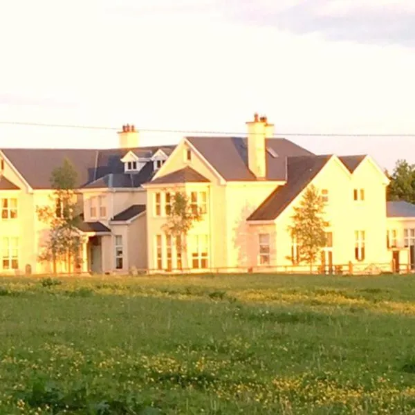 Rossmanagher House，位于Kilmurry的酒店