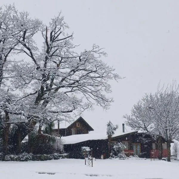 Torokiki bach，位于Springfield的酒店