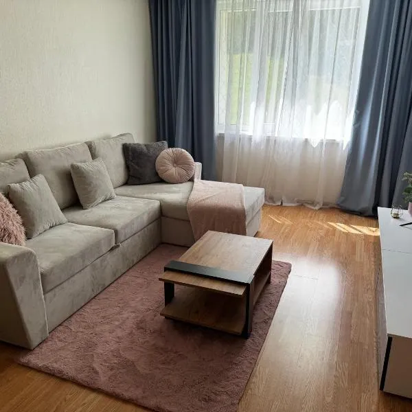 Mammaste Apartment，位于Mammaste的酒店