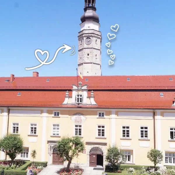 Apartament Rynek，位于博莱斯瓦维茨的酒店