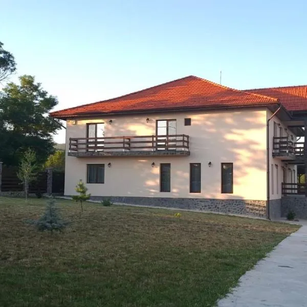 Agropensiunea Anovia，位于Aninişu din Deal的酒店