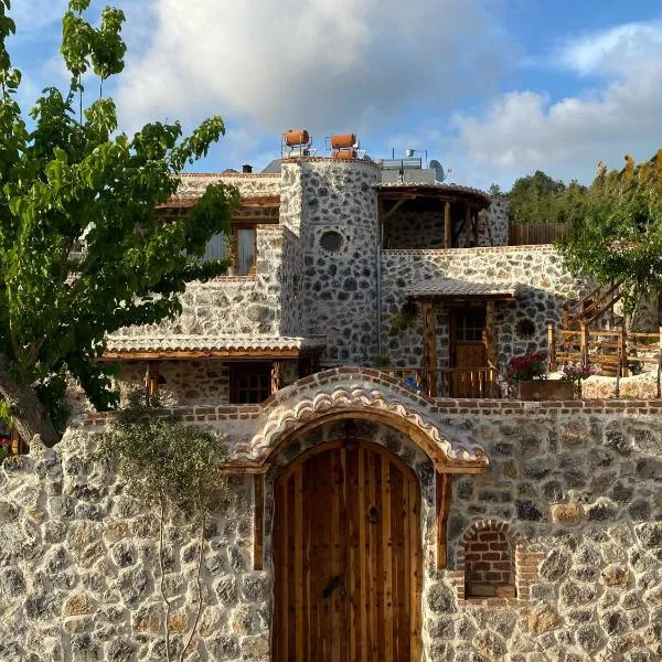 LUXURY STONE VILLA with SALT WATER POOL AND JACUZZI，位于卡亚克的酒店