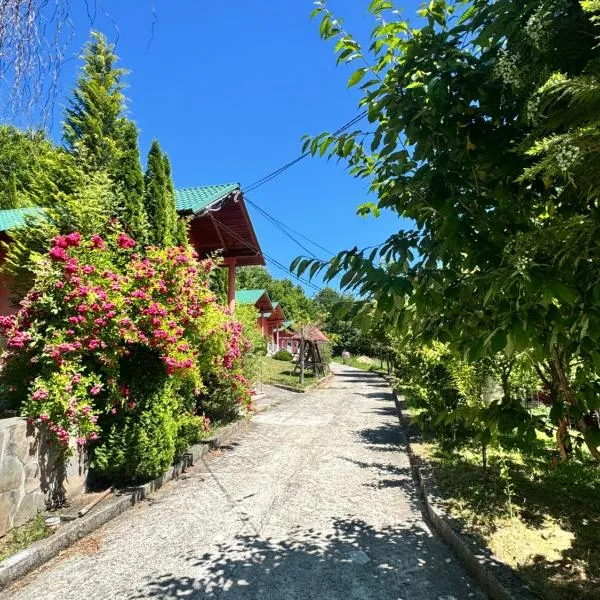 Pensiunea Dealul Hera，位于Rona de Sus的酒店