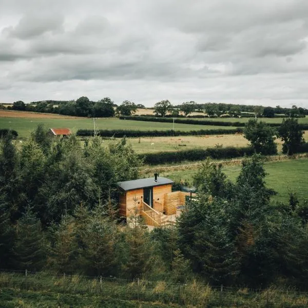 The Wildflower Shepherd's Hut，位于Matfen的酒店