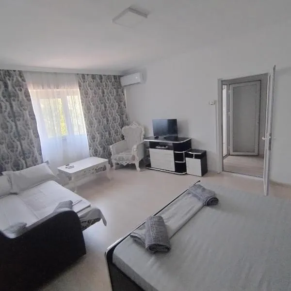 Nicoreb apartament 2，位于布勒伊拉的酒店