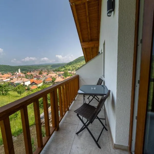 Pensiunea Patakparti 4，位于普拉伊德的酒店