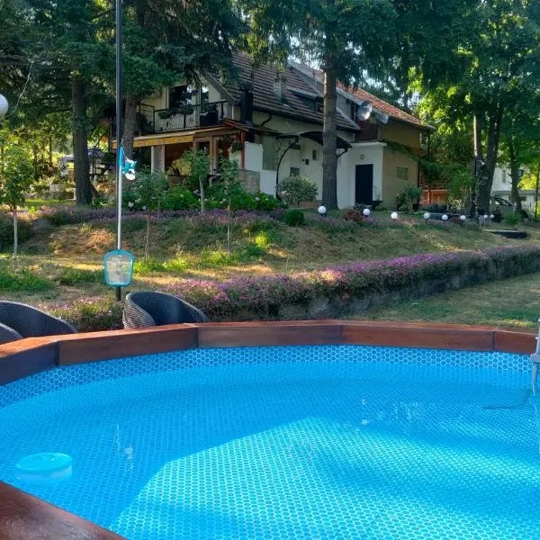 Vila Jezerski raj Borsko jezero，位于博尔的酒店