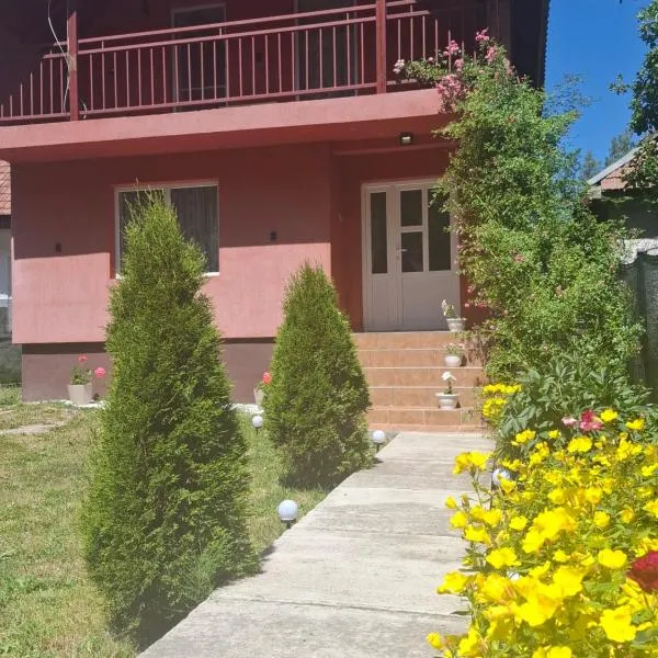 Casa Sandu，位于托普利察的酒店