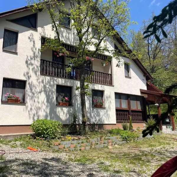 Casa Sofia，位于霍莫罗德浴场的酒店