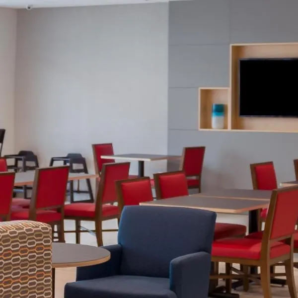 Holiday Inn Express & Suites - Tampa East - Ybor City by IHG，位于坦帕的酒店