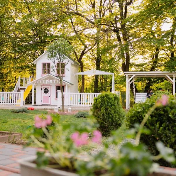 PENSIUNE RESTAURANT POIANA AVRIGULUI loc de joaca pentru copii，位于阿夫里格的酒店