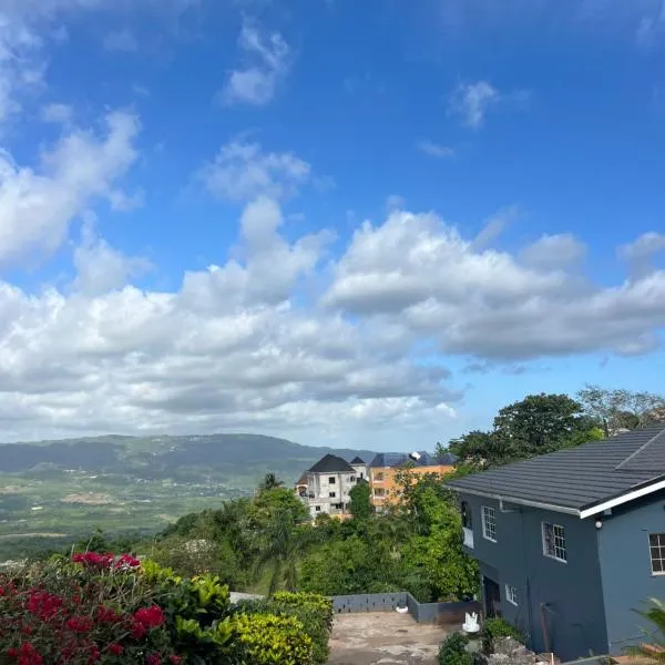 Tashari-dae Inn luxury suite，位于曼德维尔的酒店