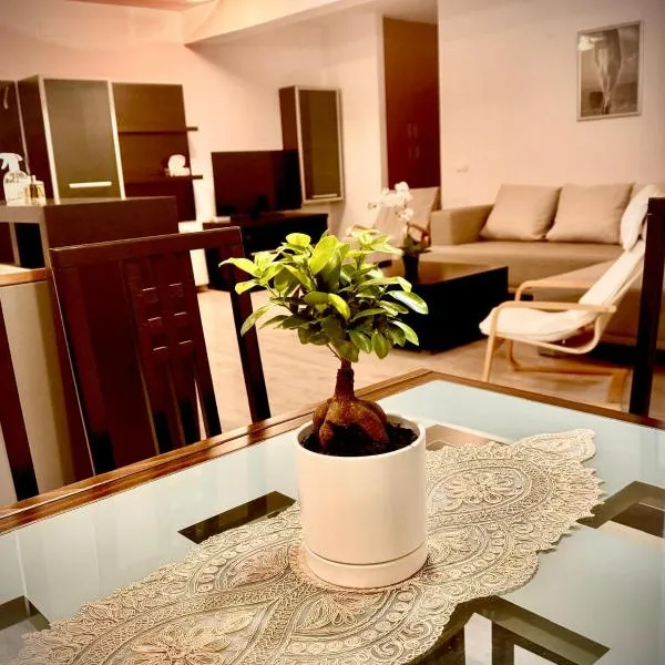 Asgard Residence Apartaments，位于蒂米什瓦拉的酒店