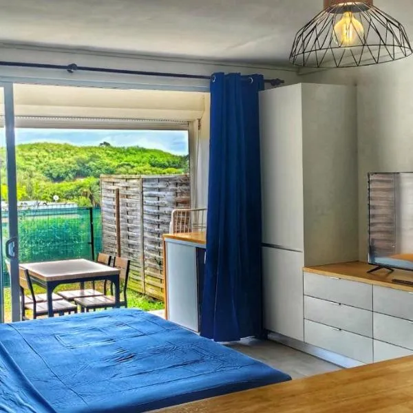 Studio Bel Air，位于普纳奥亚的酒店