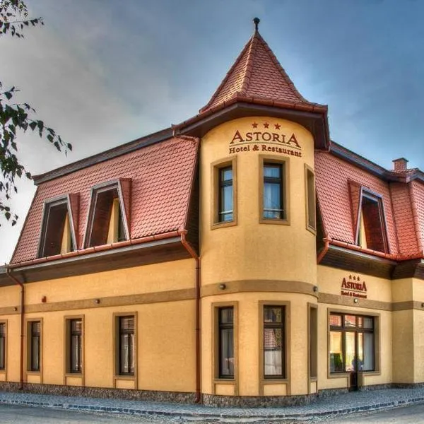 阿斯托利亚酒店及餐厅，位于Voşlobeni的酒店