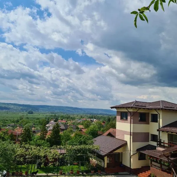 In Varful Dealului，位于Izvoarele的酒店