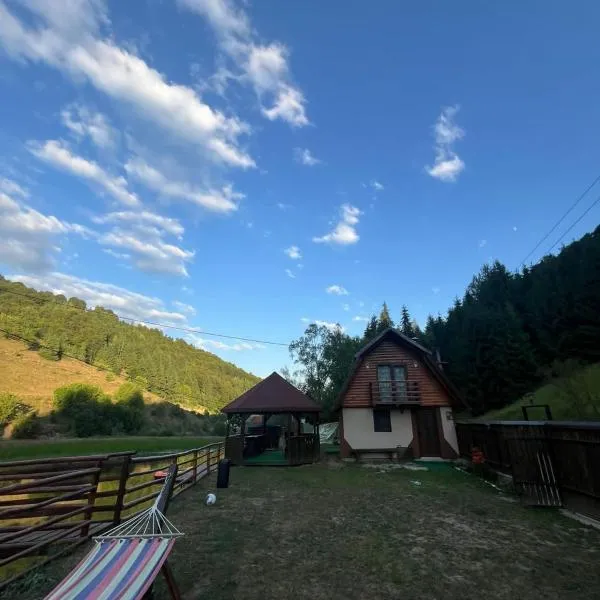 Cabana MARA，位于Poiana Vadului的酒店