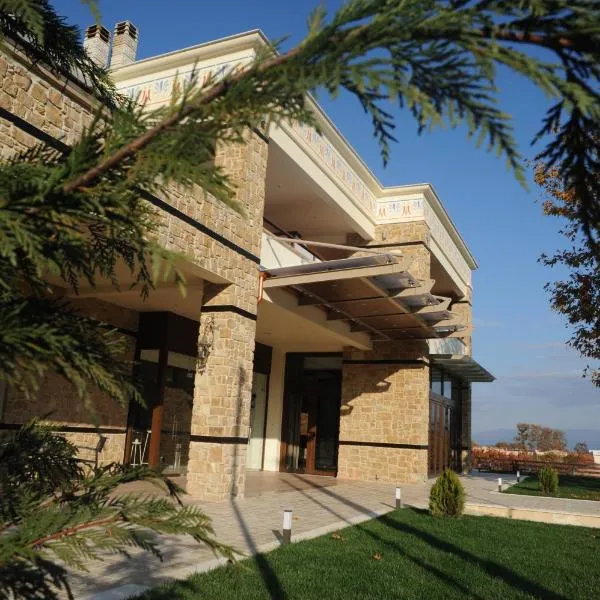 阿迦毗豪华酒店，位于帕雷斯阿吉萨那的酒店