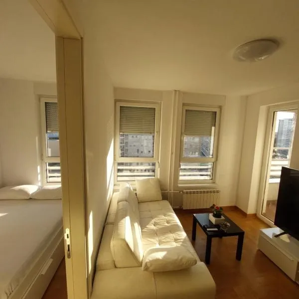 DELTA CITY Apartment，位于Novi Beograd的酒店